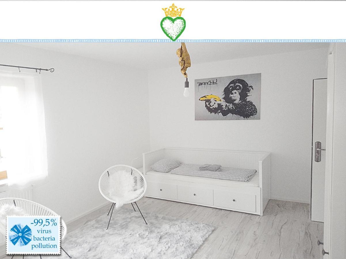 Domizil Salem "Large" 105 Qm, Direkt Am Naturschutzgebiet Und Schloss Salem, 2 X Schlafzimmer & 2 X Dusche & 30 Qm Terrasse & Privater Garten 300 Qm, Allergiker Geeignet Daire Dış mekan fotoğraf