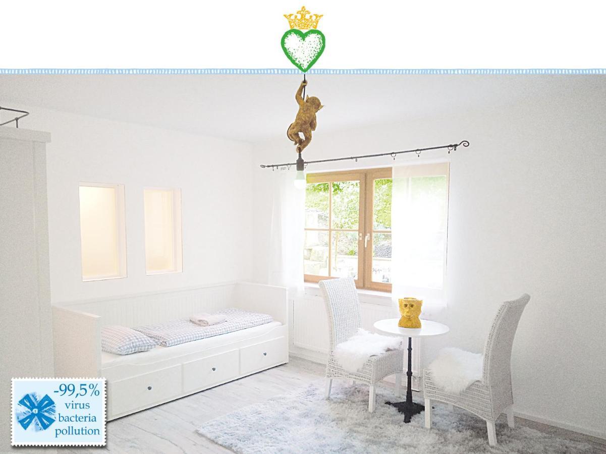 Domizil Salem "Large" 105 Qm, Direkt Am Naturschutzgebiet Und Schloss Salem, 2 X Schlafzimmer & 2 X Dusche & 30 Qm Terrasse & Privater Garten 300 Qm, Allergiker Geeignet Daire Dış mekan fotoğraf